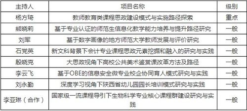 陕西省高等教育教学改革研究项目名单